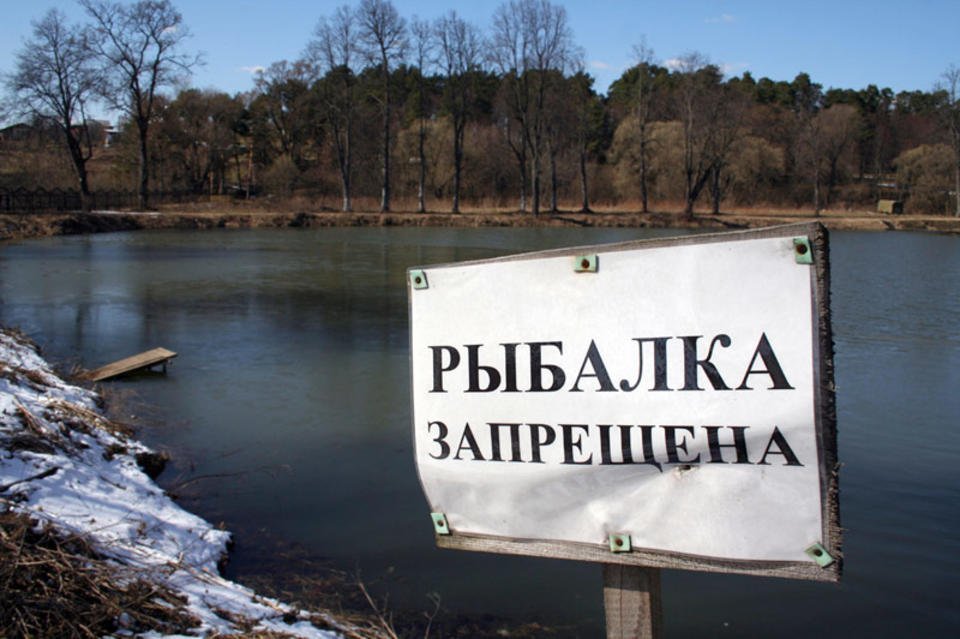 Введен запрет на ловлю рыбы на период нереста