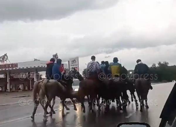 Видео с игрой в кокпар на Кульджинской трассе появилось в Сети