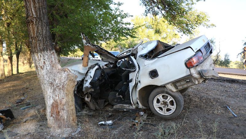 Водитель погиб в ДТП в селе Жетыген, пытаясь не задавить собак